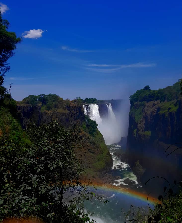 Activities & Excursion Bookings