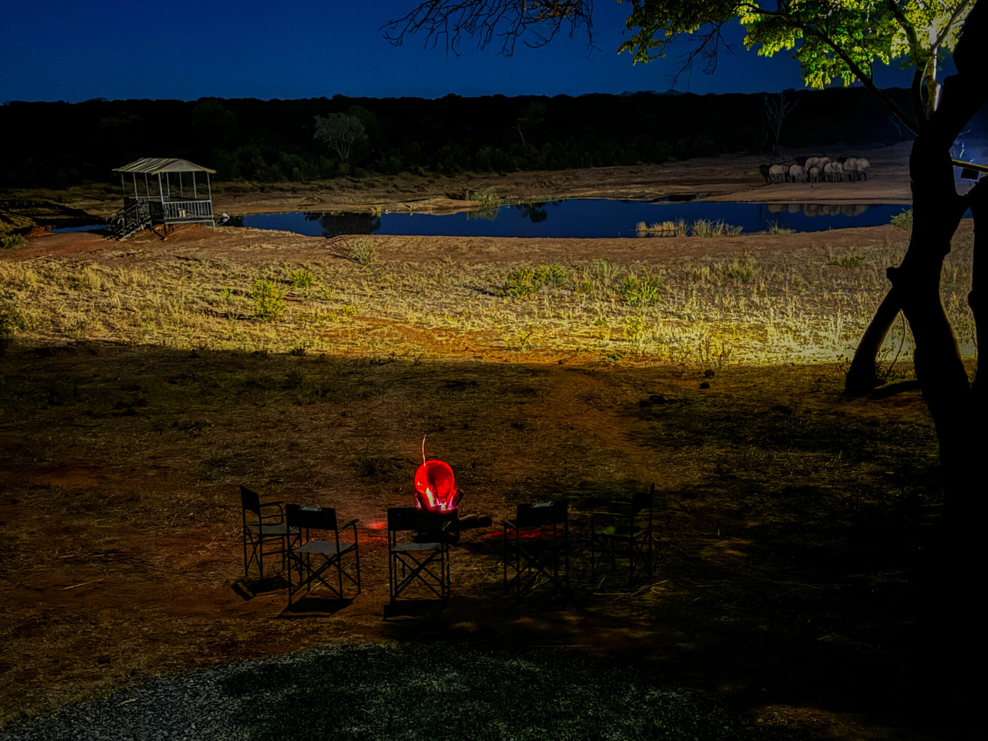 Classic Dinner in Victoria Falls
