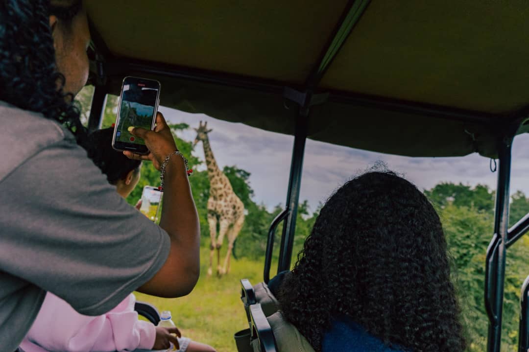 Game Drive