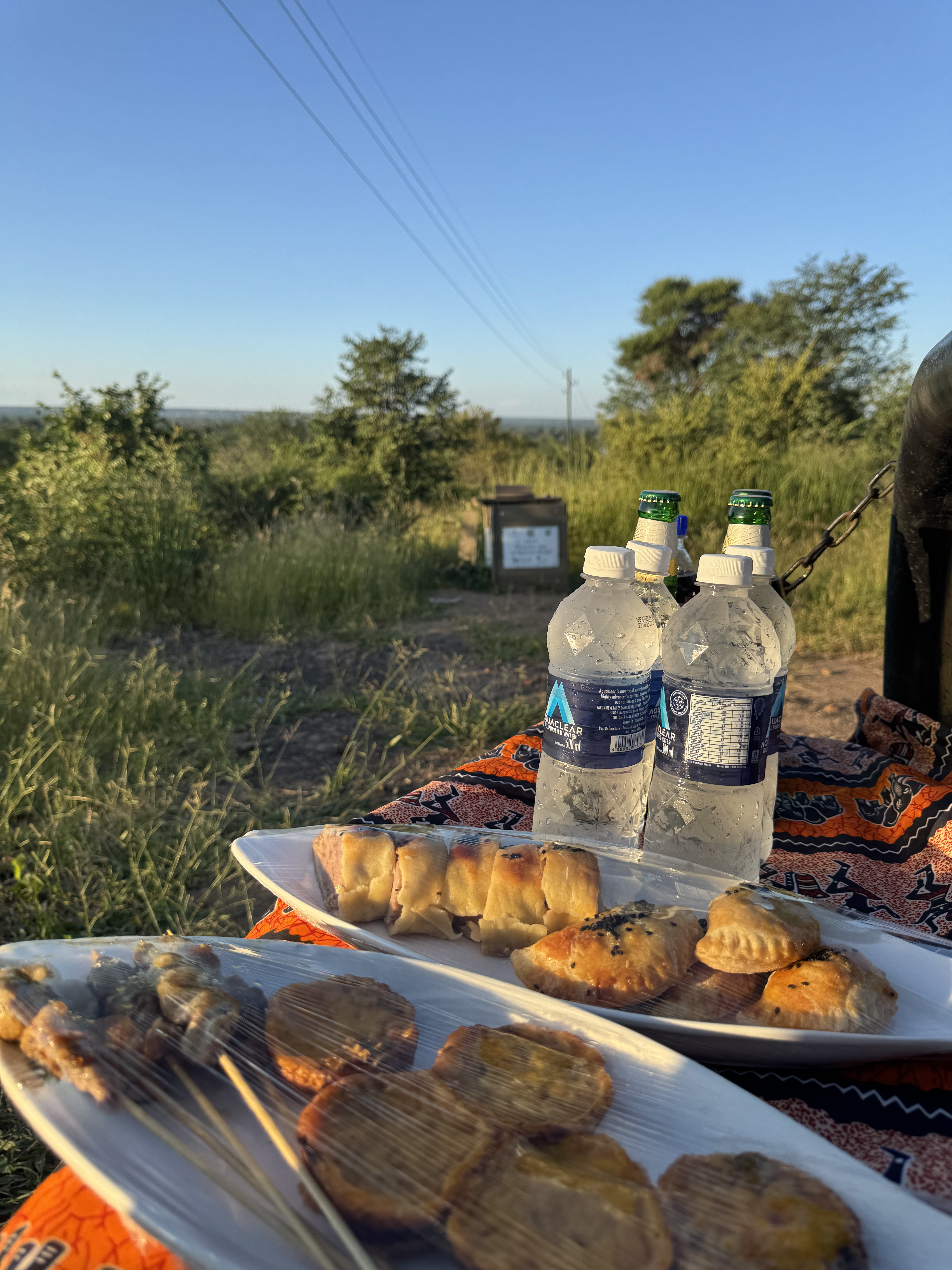 Bush Breakfast