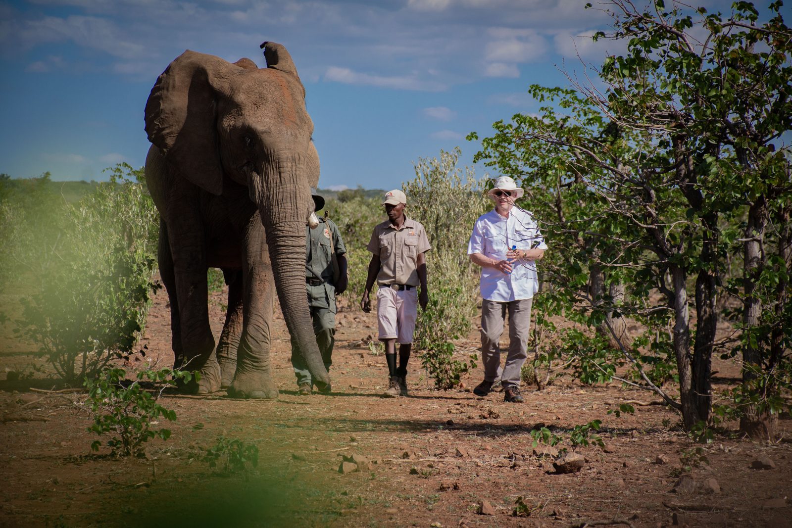 Moments with Elephants